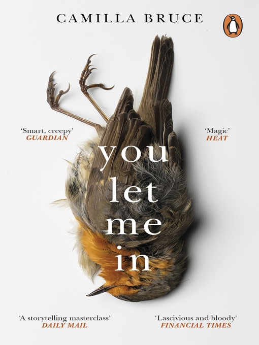 Title details for You Let Me In by Camilla Bruce - Wait list